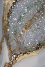 🦋 The Golden Butterfly